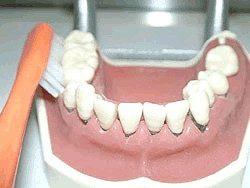 �o�X�@�A�j���[�V����